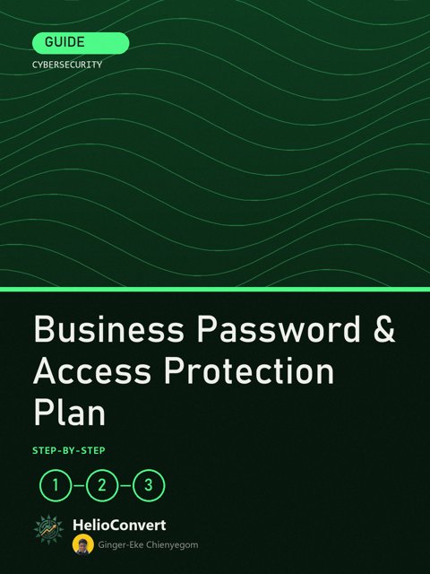 Business Password & Access Protection Plan