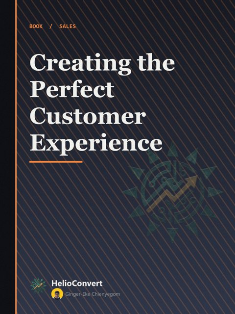 Creating the Perfect Customer Experience