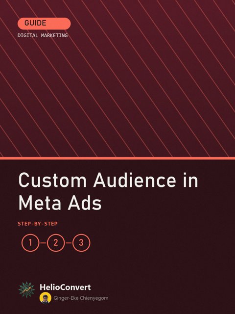 Custom Audience in Meta Ads