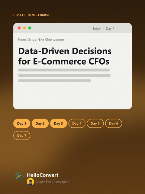 Data-Driven Decisions for E-Commerce CFOs
