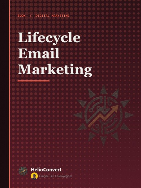 Lifecycle Email Marketing: Workbook cover