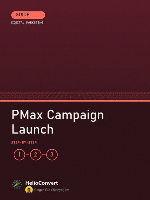 PMax Campaign Launch