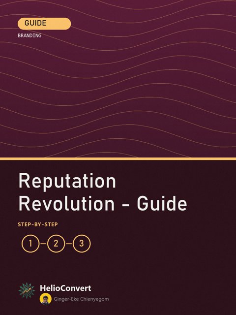 Reputation Revolution - Guide