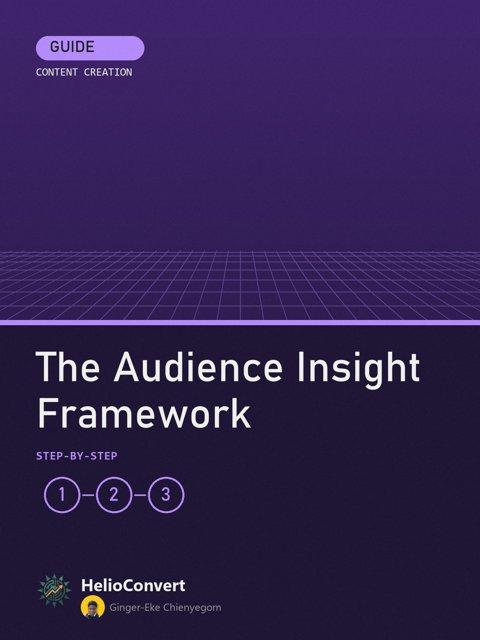 The Audience Insight Framework