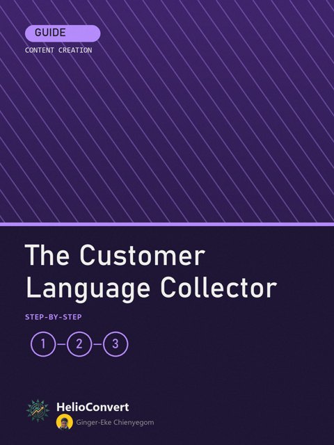 The Customer Language Collector